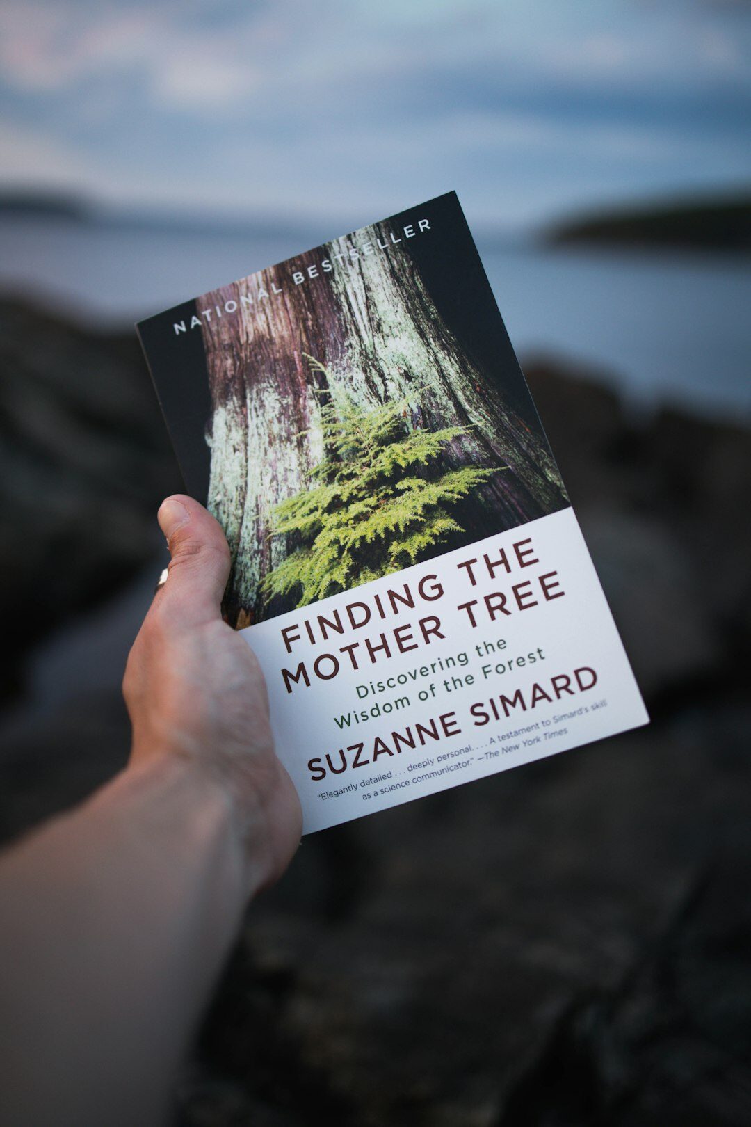 mystery book cover